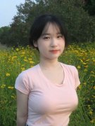 客能够出海不雅鲸、看企鹅归巢
